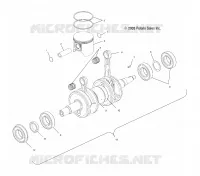 PISTON   CRANKSHAFT (800)