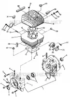 CRANKCASE AND CYLINDER TRAIL BOSS / W928527 (4922892289033A)