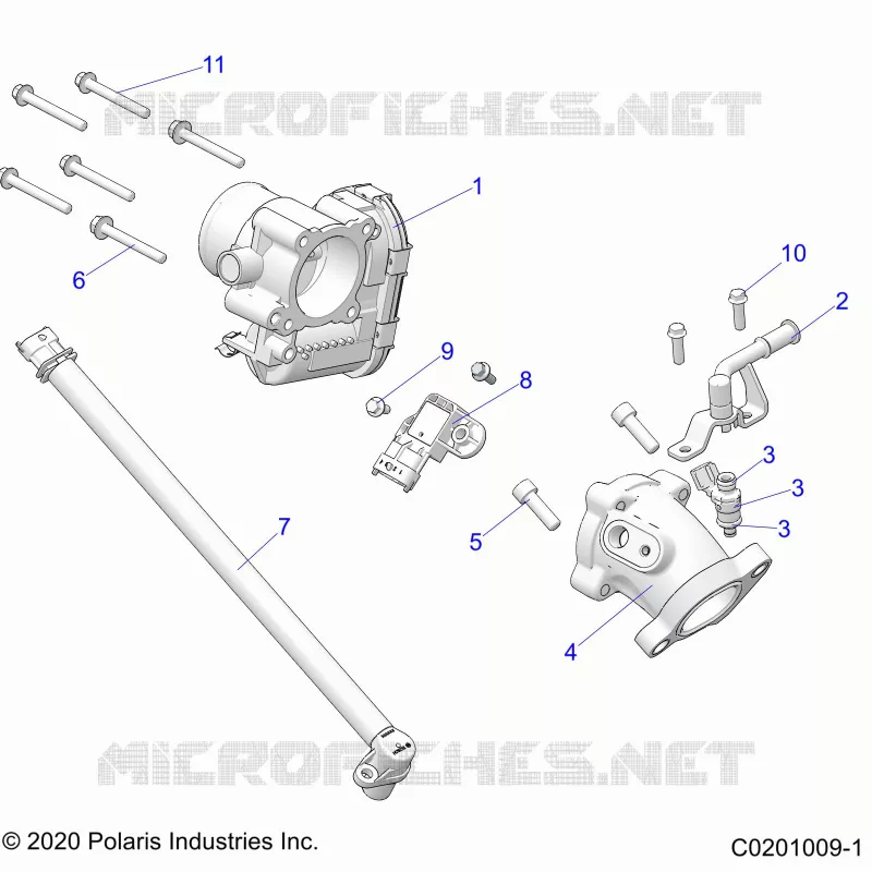 ENGINE, THROTTLE BODY AND FUEL RAIL