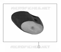 OPTIONS, DOME LIGHT