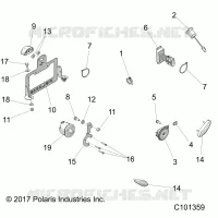 ELECTRICAL, TURN SIGNALS