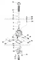 CARBURETOR ASSEMBLY (4918541854045A)