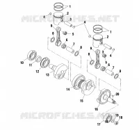 PISTON   CRANKSHAFT