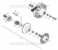 DRIVEN CLUTCH