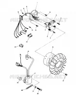 MAGNETO (STAR) (4910951095024A)