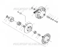 DRIVEN CLUTCH