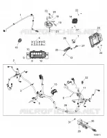 WIRE HARNESS