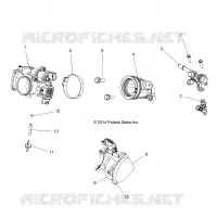 ENGINE, THROTTLE BODY AND FUEL RAIL