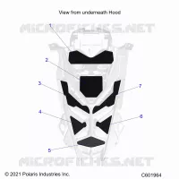 HOOD FOAM/SEAL