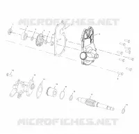 WATER PUMP / OIL PUMP