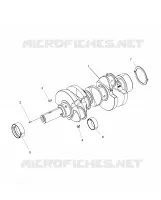 ENGINE, CRANKSHAFT