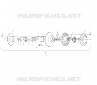 DRIVEN CLUTCH