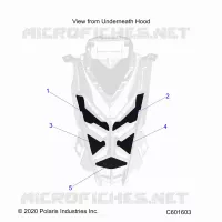 HOOD FOAM/SEAL