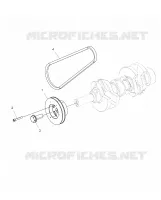 ENGINE, DRIVE PULLEY AND DRIVE BELT