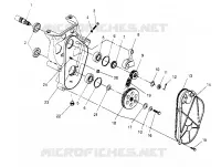 CHAINCASE ASSEMBLY  RXL 0956768 (4930783078B008)