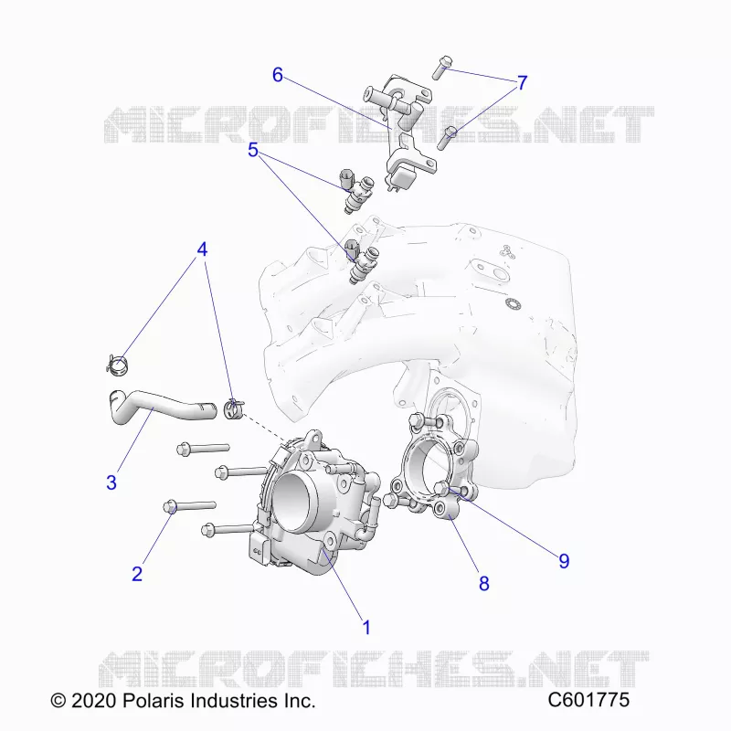 FUEL SYSTEM, THROTTLE BODY/FUEL RAIL