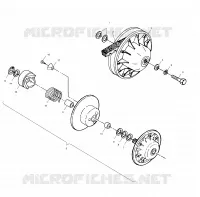 DRIVEN CLUTCH
