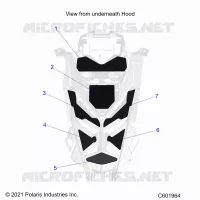 HOOD FOAM/SEAL