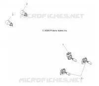 BULBS