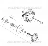 DRIVEN CLUTCH