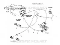 REFERENCE HOSES