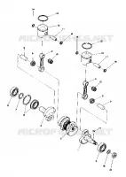 PISTON AND CRANKSHAFT (4910961096017A)