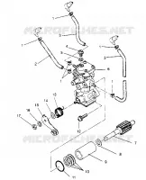 OIL PUMP ASSEMBLY XLT TOURING 0952857 AND  EUROPEAN XLT TOURING E952857 (4929172917C013)