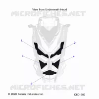 HOOD FOAM/SEAL