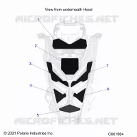 HOOD FOAM/SEAL