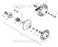 DRIVEN CLUTCH