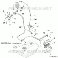 BODY, FUEL LINES, EVAP
