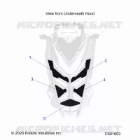 HOOD FOAM/SEAL