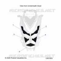 HOOD FOAM/SEAL