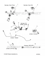 ELECTRICAL, JUMPERS/WIRE HARNESS
