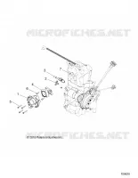 THROTTLE BODY AND FUEL RAIL