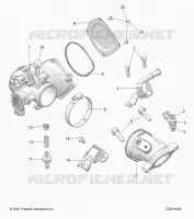 ENGINE, THROTTLE BODY AND FUEL RAIL