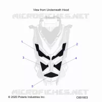 HOOD FOAM/SEAL